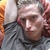 Borrel88